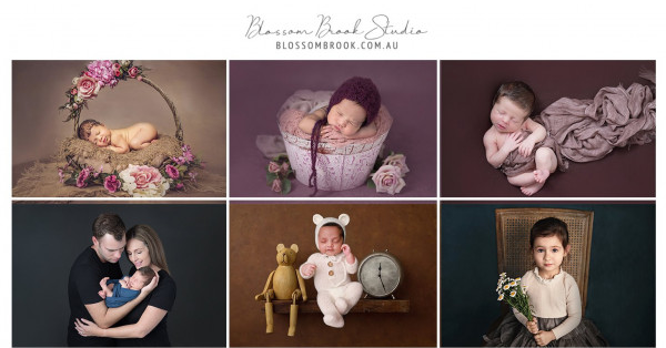 Blossom Brook Studio